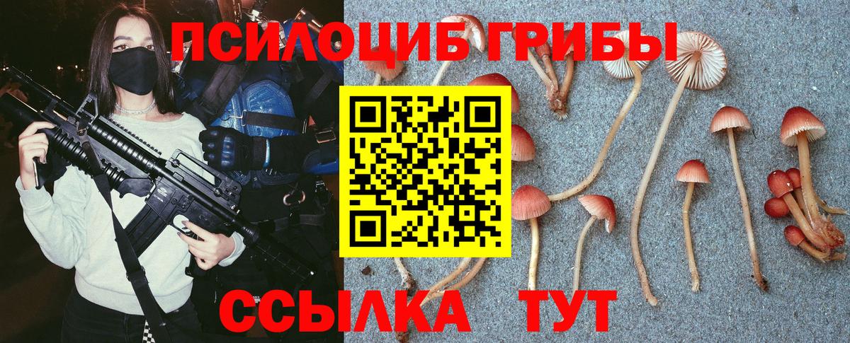 Псилоцибиновые грибы Psilocybe Обь